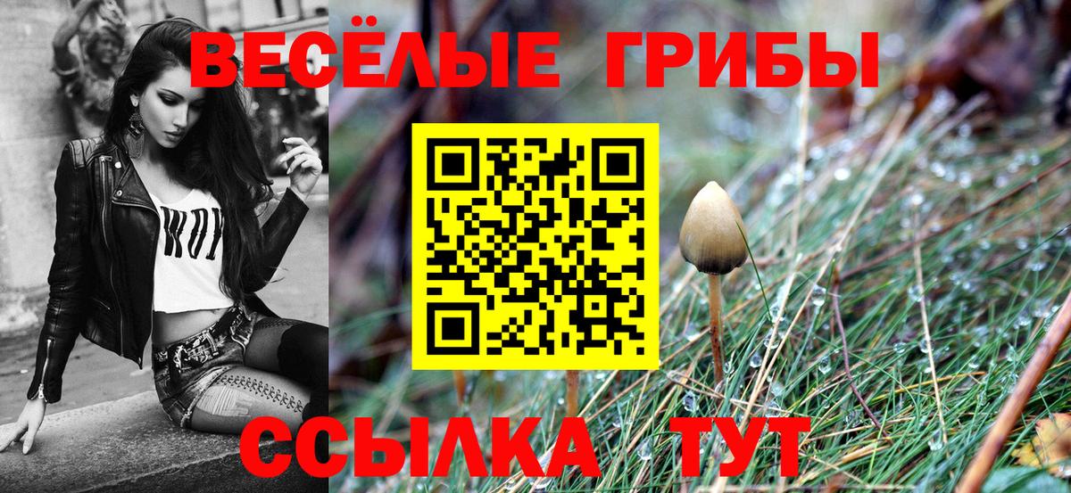 Галлюциногенные грибы мицелий Казань