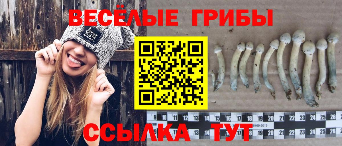 Галлюциногенные грибы мицелий  Вход с VPN  Казань 