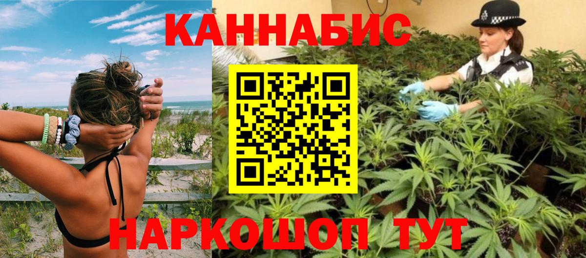 Шишки марихуана сатива  МАРИХУАНА MAZAR  Вход с VPN  Бошки марихуана планчик  Казань  Канабис ГИДРОПОН 